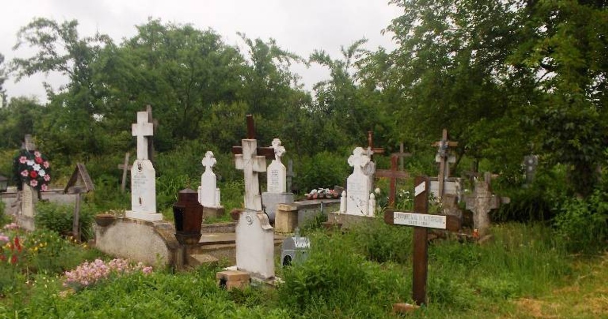 Arhiva foto