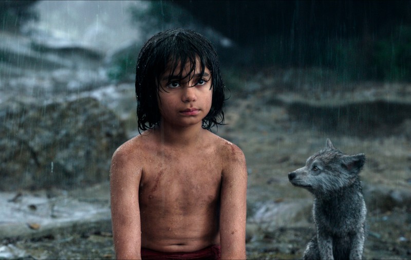 „Fetița Mowgli” din India – o poveste impresionantă care ridică multe semne de întrebare