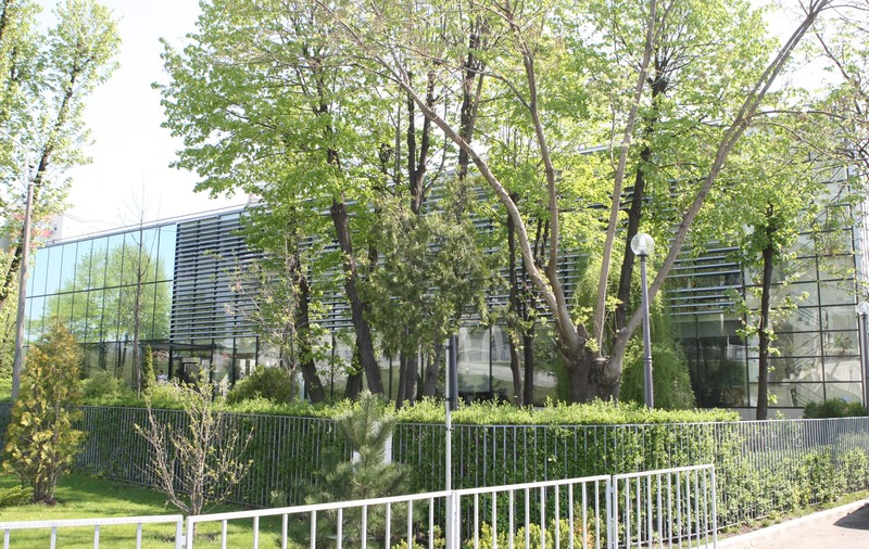 FRF, pusă la colț: ”E mai rău decât pe vremea lui Mircea Sandu!”