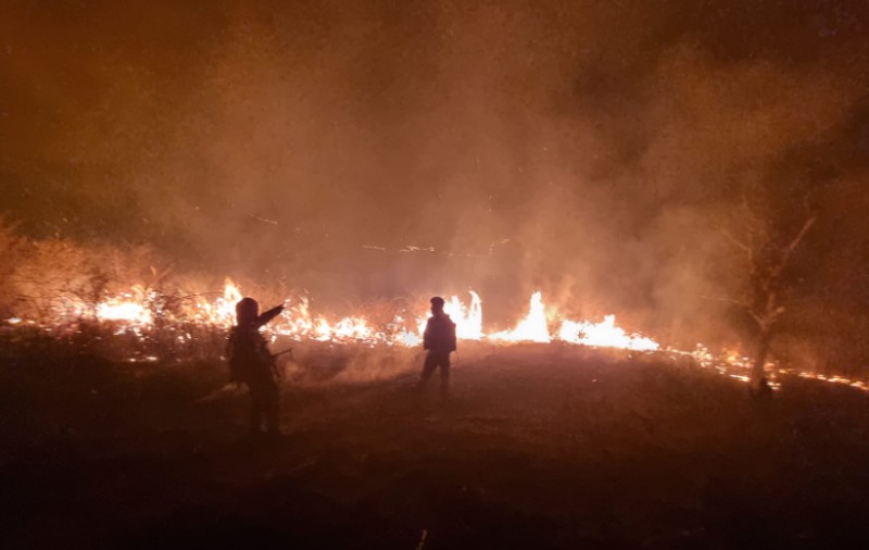 Incendii în mai multe județe din țară. În Prahova, ard 25 de hectare de vegetație, fâșia de foc are 5 kilometri