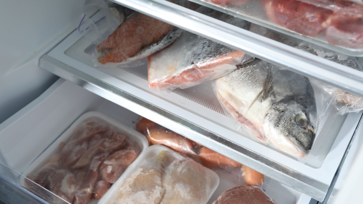 Într-un congelator sunt depozitate bucăți de carne și pește, ambalate în pungi sau caserole. Alimentele sunt organizate pe rafturi, păstrate la temperaturi scăzute pentru a-și menține prospețimea pe termen lung.