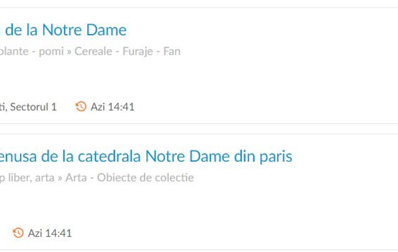 Cenuşă de la Catedrala Notre-Dame, de vânzare pe OLX