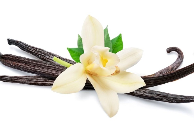 Vanilie - tot ce trebuie să ştii despre această plantă