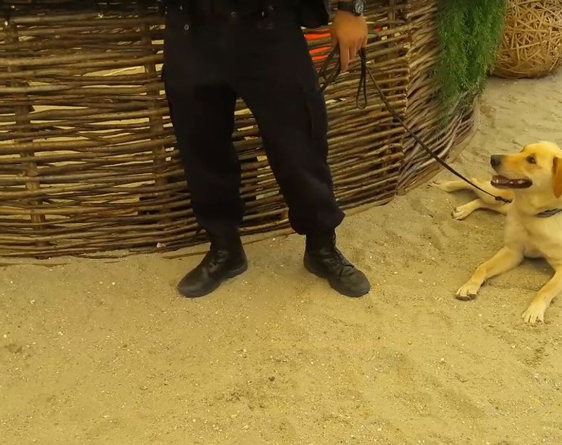 VIDEO EXCLUSIV/Armata Neversea, „blindată” până în dinți. Petrecăreții de pe litoral vor fi vegheați din umbră de orice fel de atac
