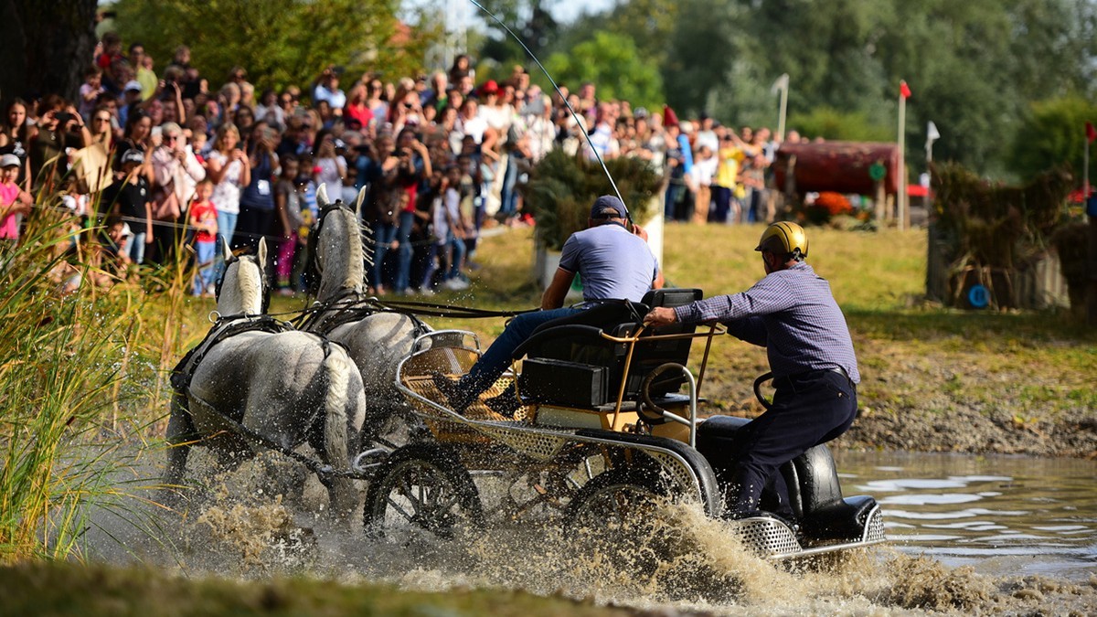 Concurs ecvestru pe domeniul Cantacuzino