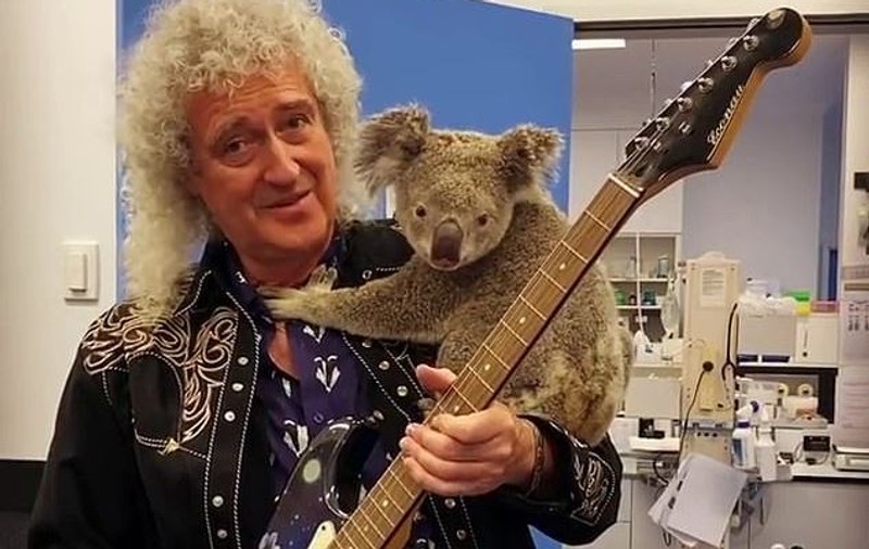 Legendarul Brian May, chitaristul trupei Queen, a cântat cu un koala pe umăr