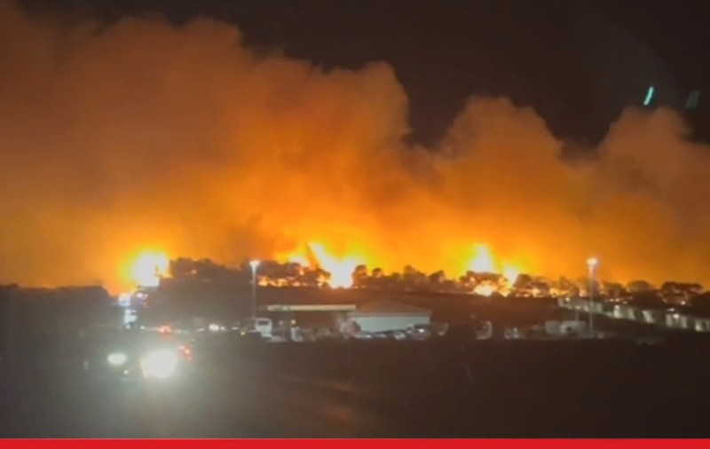 Mii de petrecăreți din cluburile de noapte de pe insula croată Pag, evacuați după ce o pădure de pini a luat foc
