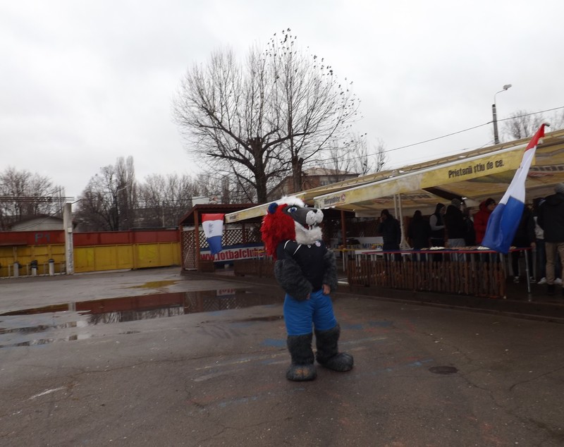 Oțelarii au tăiat porcul, dar cu atenție la siluetă! Selymes dă amenzi de 500 euro pe kilogram în plus