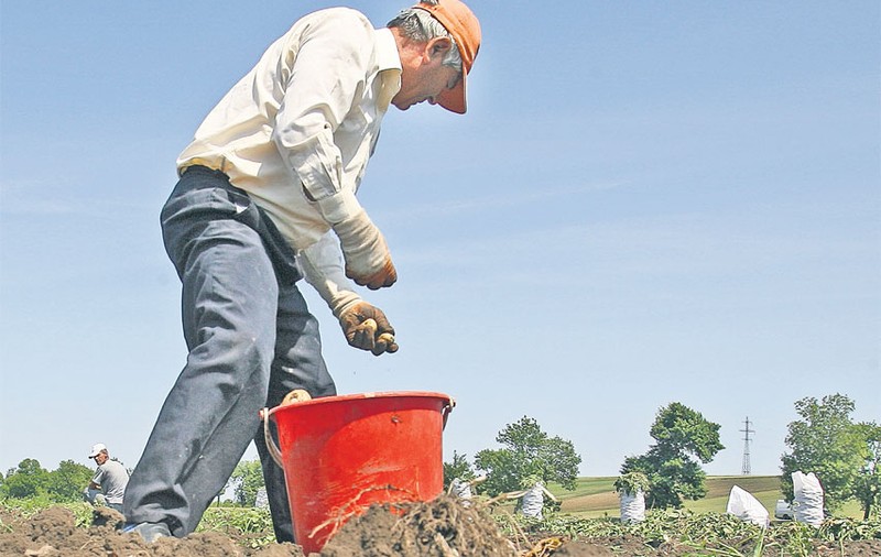 Arabii ne «vânează» milioane de hectare de pământ