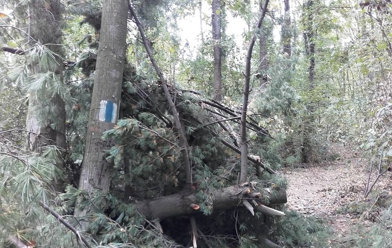 Traseele turistice din vestul Munților Zărandului, blocate parțial de arborii doborâți de vijelii