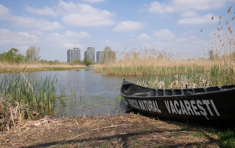 Nicușor Dan pregătește preluarea Parcului Văcărești la Primăria Capitalei