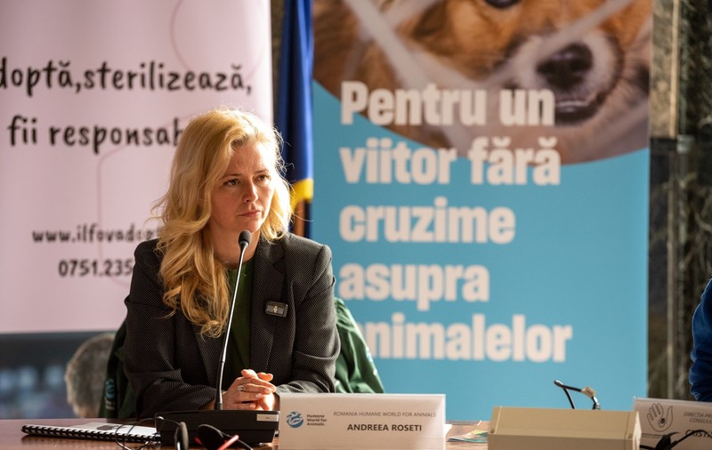 Studiu: Bunăstarea animalelor se vede în farfuria noastră: ouă mai gustoase și mai sănătoase de la găini crescute liber