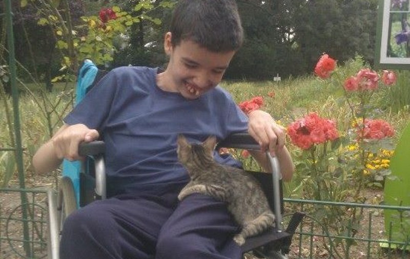 Viață de copil cu dizabilități în România. „Ăsta n-are creier nici cât un papagal!”