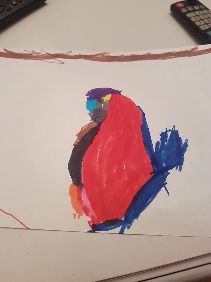 Foto