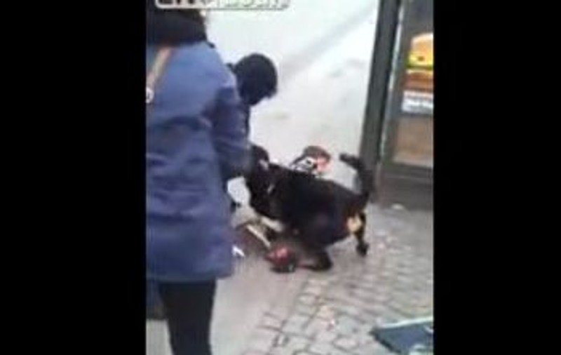 Un COPIL a fost ATACAT de un ROTTWEILER în Suedia! Uite cum se chinuie oamenii să-l scoată pe micuţ din colţii animalului  | ATENŢIE VIDEO ŞOCANT!