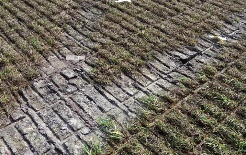 România - Muntenegru. Probleme cu locul de disputare: ”Trebuie să schimbăm orașul!”