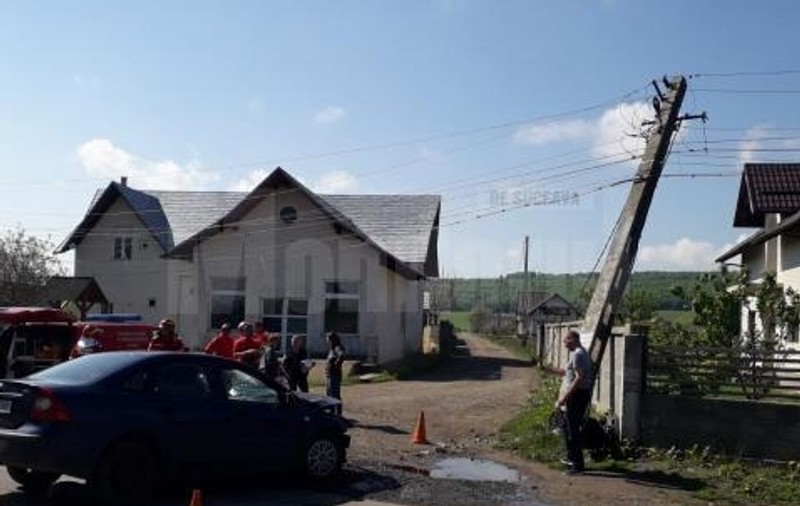 Un șofer a intrat cu mașina într-un stâlp din cauza unui porc! Animalul i-a sărit în brațe