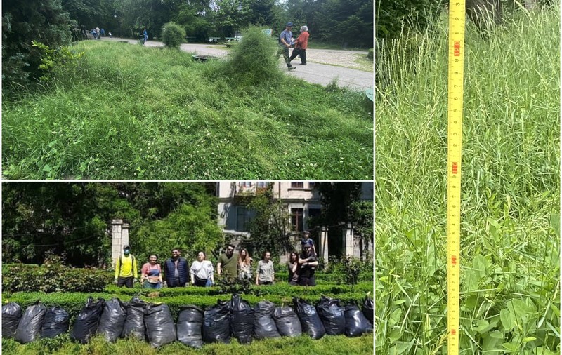 Jungla Cișmigiu unde buruienile au peste un metru înălțime. Dacă Primăria Capitalei nu face nimic, voluntarii intervin