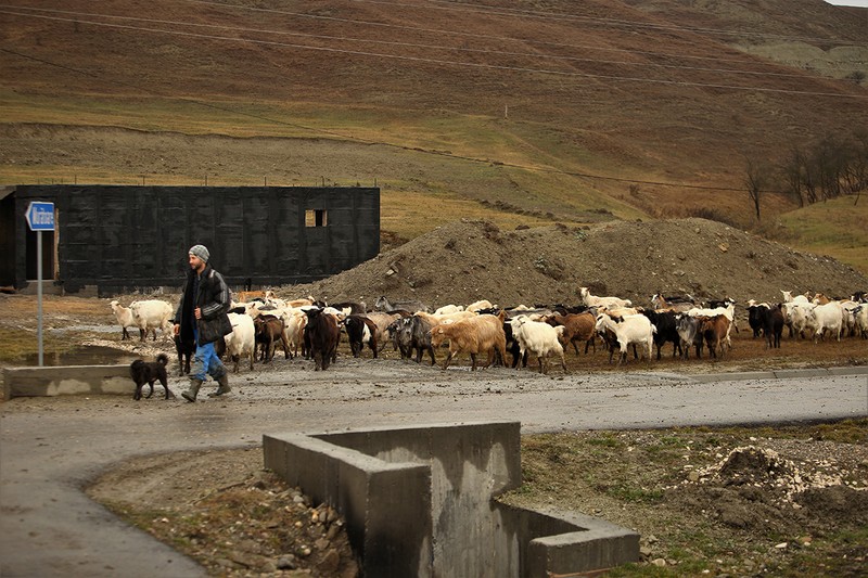 Arhiva foto