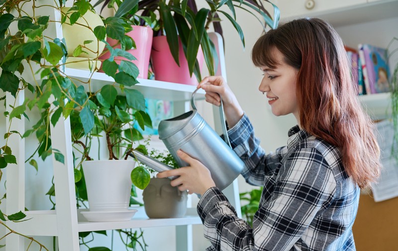 Cum îți dai seama dacă ai udat prea mult sau prea puțin o plantă și cum salvezi rădăcinile. Sursă foto: Shutterstock
