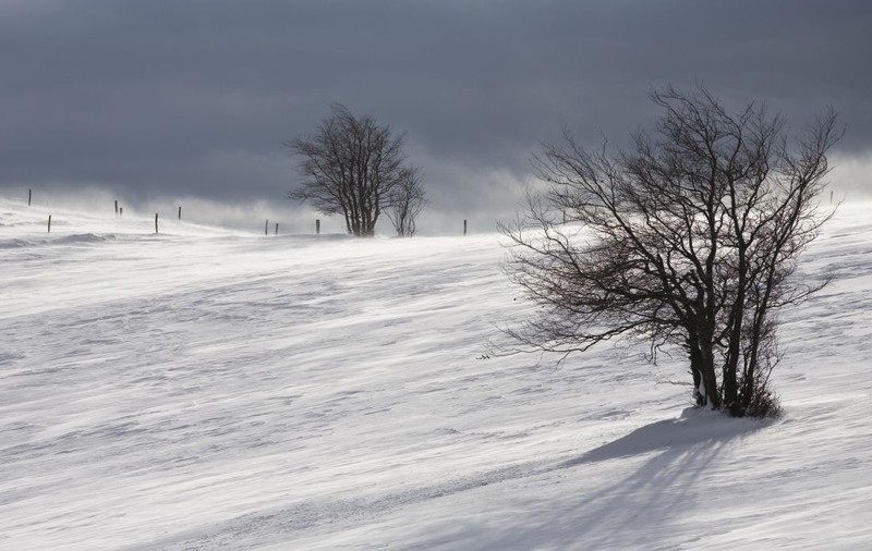 Avertizare meteo ANM. Cod galben de zăpadă viscolită și vânt puternic