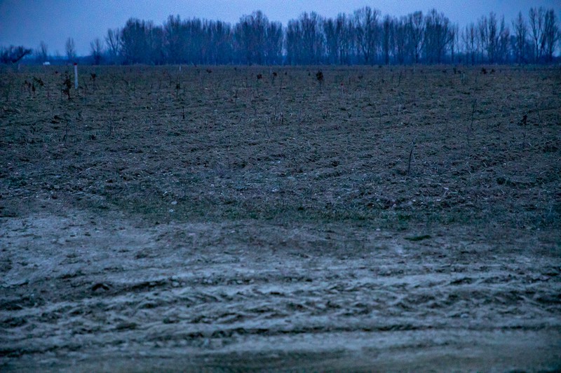 Firmele doljene care se ocupă de parc numesc acest peisaj „o reuşită”