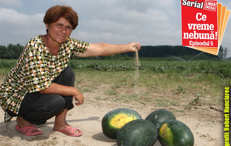 «Scoatem pepeni din nisip»