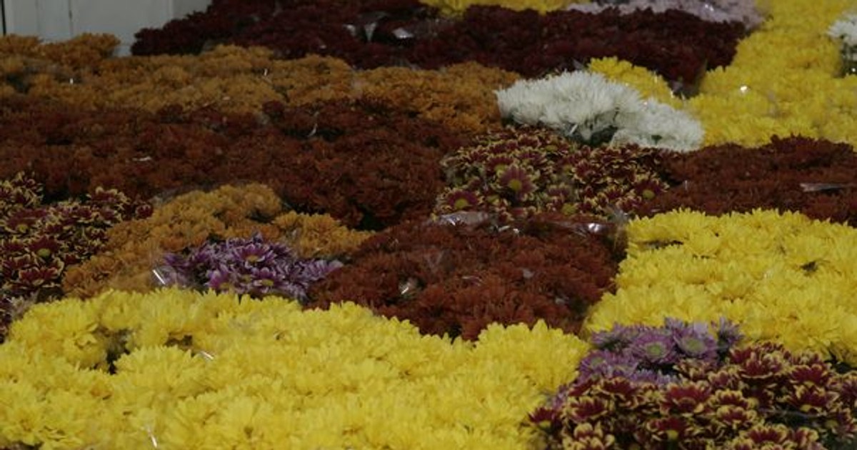 Arhiva foto