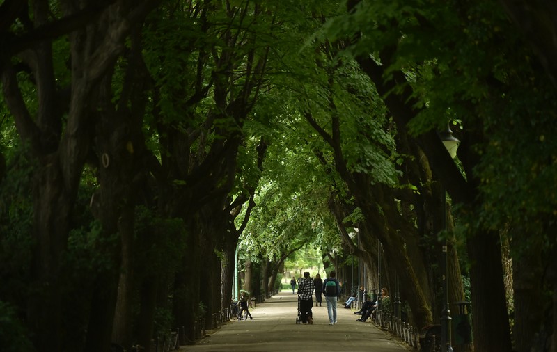 Fotografie de grup: Trei prieteni cu maxilarele încleștate într-un parc din București și o sumedenie de gânduri