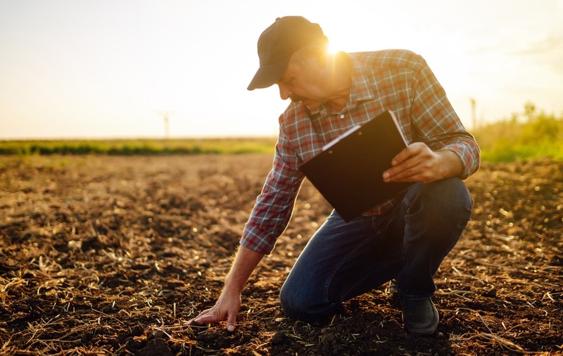 4 strategii inteligente de reducere a rezervei biologice de patogeni în culturile de legume