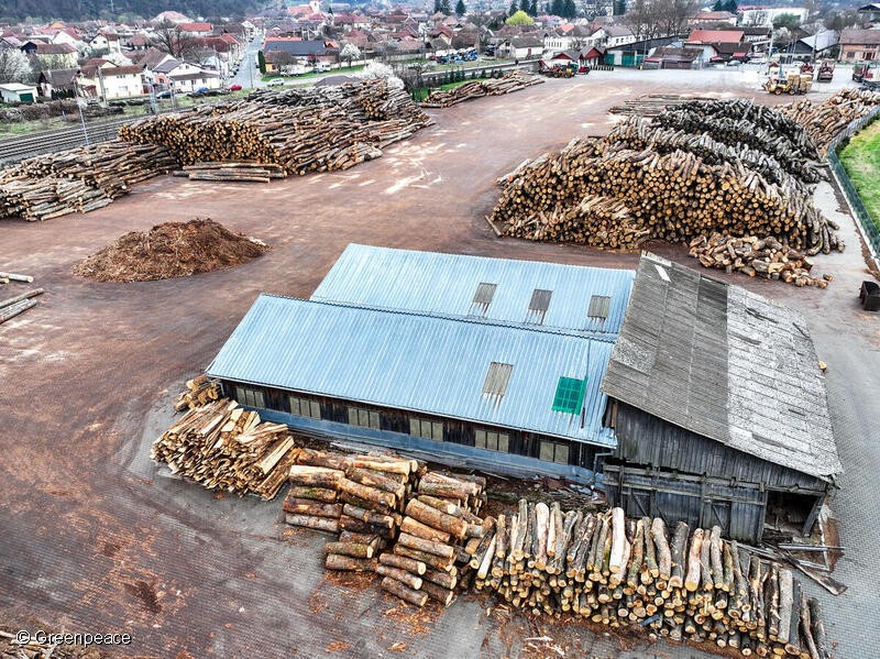 Greenpeace CEE in Romania (Greenpeace hereafter), was conducting a chain of custody investigations which exposed not only the devastating destruction of old-growth or high conservation value forests in the Romanian Carpathians, they also revealed how companies and even we as consumers end up being complicit in this destruction of the most diverse and rare forest ecosystems in Europe.