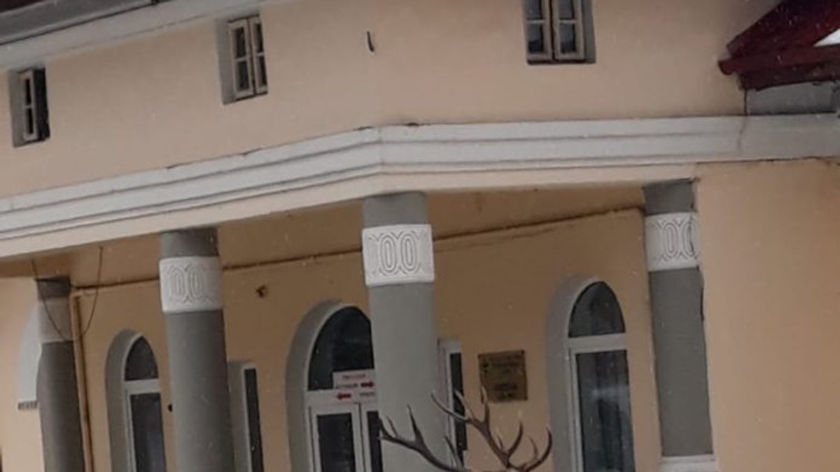 Un cerb s-a adăpostit în curtea unui spital din Azuga. Era fugărit de un urs și de câini