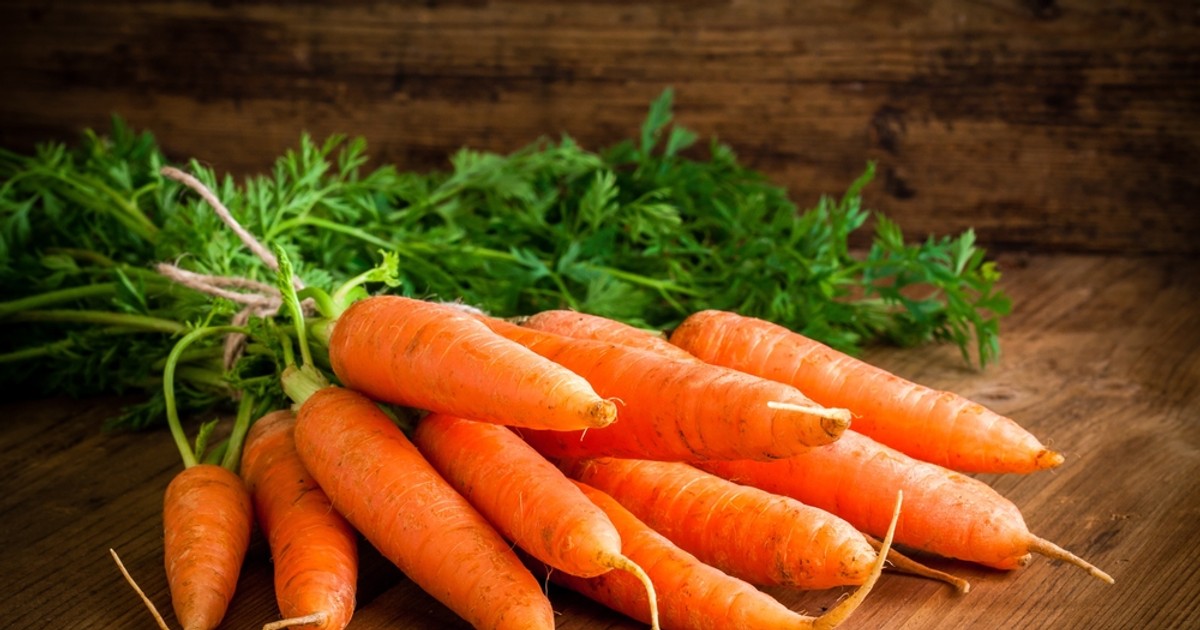 Morcovi - când se cultivă, ce beneficii au morcovii și care sunt cele mai bune rețete culinare