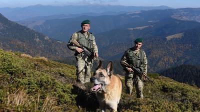 39 de ucraineni au murit în România, fugind de război. Reportaj cutremurător realizat de Bild în Munții Maramureșului