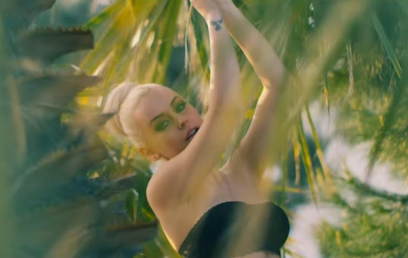 PREMIERĂ LIBERTATEA.RO | Misha lansează single-ul și videoclipul "Vamos"