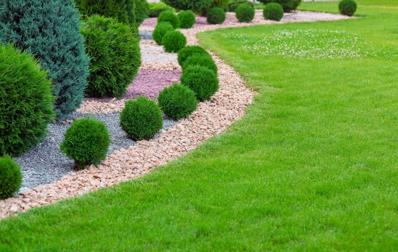 Beneficiile arborilor ornamentali pentru amenajarea spațiilor verzi