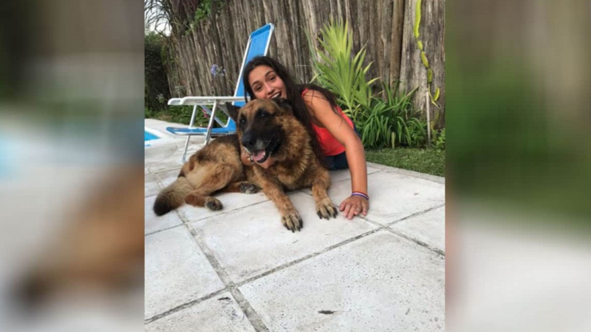 O fată de 17 ani s-a ales cu răni pe față după o sesiune foto cu un câine