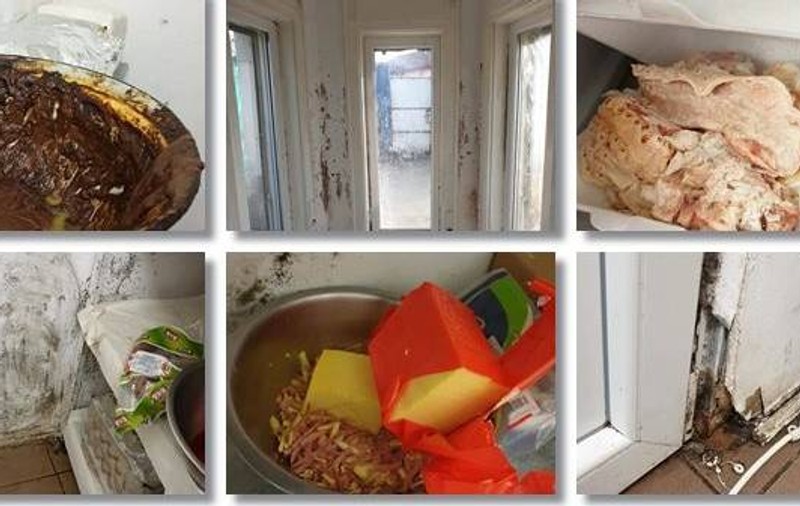 VIDEO | Imagini terifiante de la o firmă de catering din Timișoara care pregătea mâncare pentru grădinițe și pentru bolnavii de cancer! Șeful OPC Timiș a făcut totul public