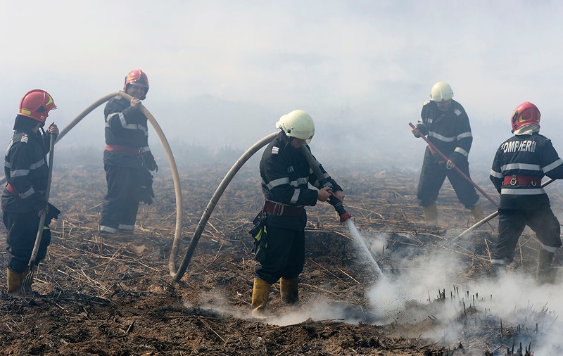 27 de incendii de vegetație, în doar 48 de ore, în Vâlcea. 400 de hectare afectate