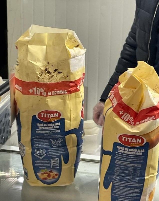 Piața Berceni și magazinul Mega Image din Piața Reșița, închise pentru 6 luni de ANPC. Mucegai, gândaci și rugină, printre neregulile descoperite