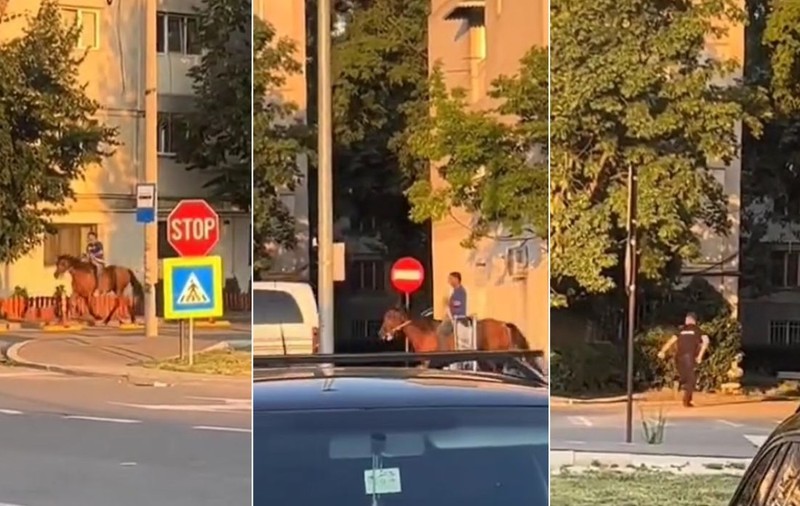Un bărbat călare pe cal a fost urmărit de polițiști înarmați pe străzile din Focșani