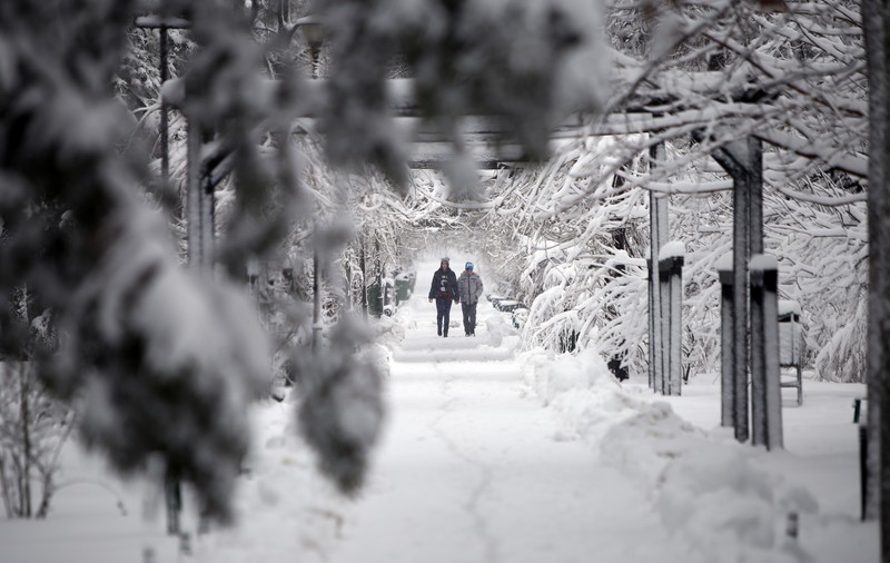 Prognoza meteo pentru 6 februarie. Vreme de iarnă. Ninge și bate viscolit vântul