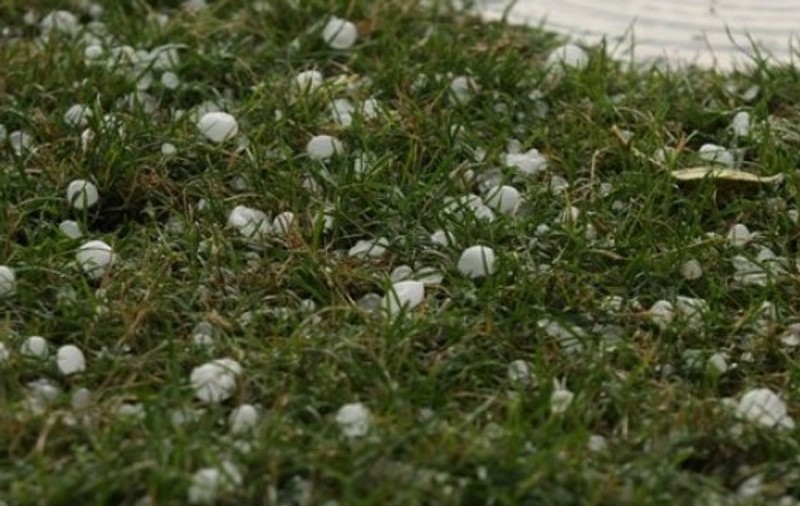 Mii de hectare de culturi agricole, distruse de grindină în zona Râmnicu Sărat