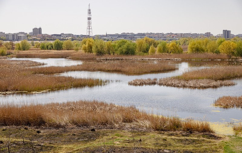 De ce arde Parcul Văcărești? Fără pază și fără regulament, „delta dintre blocuri” a ajuns un focar constant de incendii