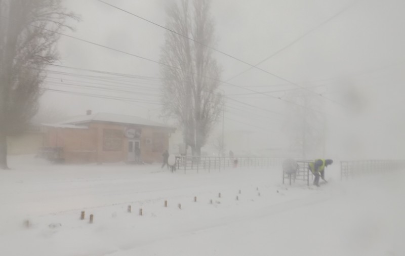 UPDATE | COD PORTOCALIU ȘI GALBEN de VISCOL în 21 de județe