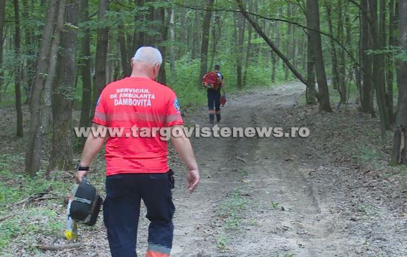 Un pădurar din Dâmbovița, cunoscut cu afecțiuni cardiace, a murit din cauza caniculei