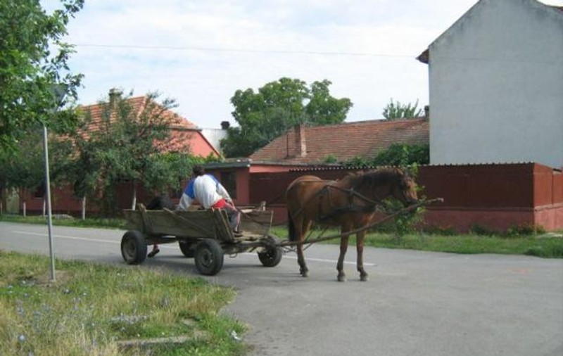 Vrea să-i pună pe căruțași să strângă gunoaiele din Săcele. Mobilizarea primarului după curățenia de primăvară