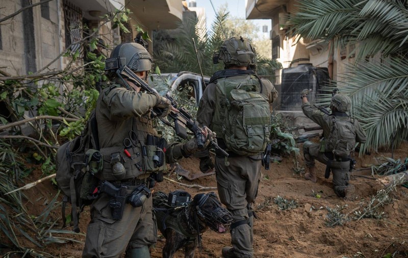 Câinii care îi îngenunchează pe militanții Hamas: Armata israeliană difuzează imagini cu unitatea sa canină implicată în luptele din Fâșia Gaza | VIDEO