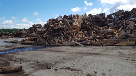 Kronospan România a făcut parte dintr-un „cartel al lemnului” amendat de Consiliul Concurenţei