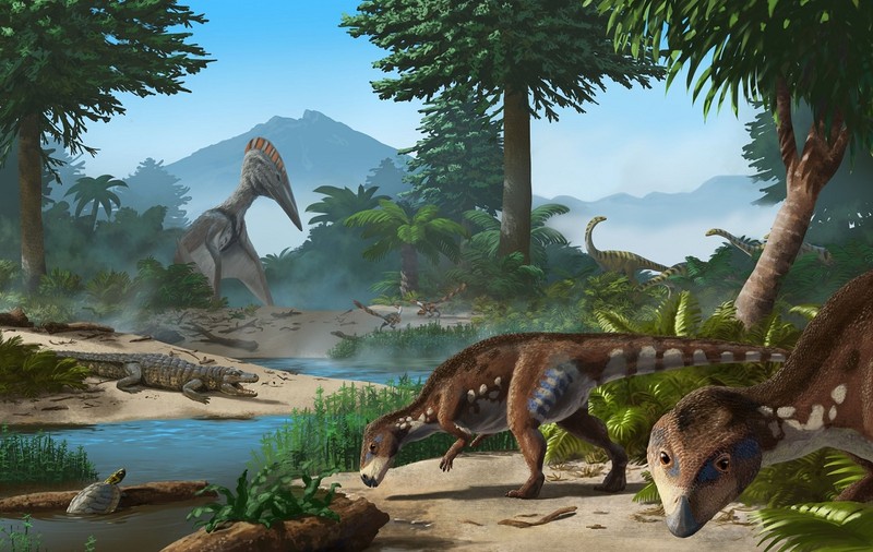 O nouă specie de dinozaur, descoperită în România. „Reptila cu cap turtit din Transilvania” a trăit acum 70 de milioane de ani